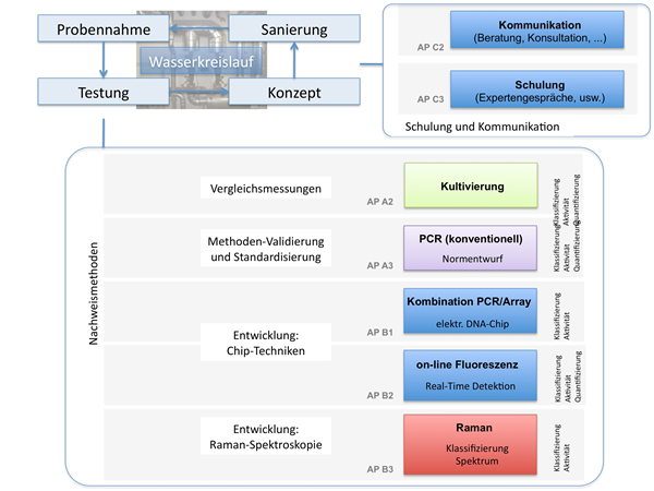 Projekt-Schema